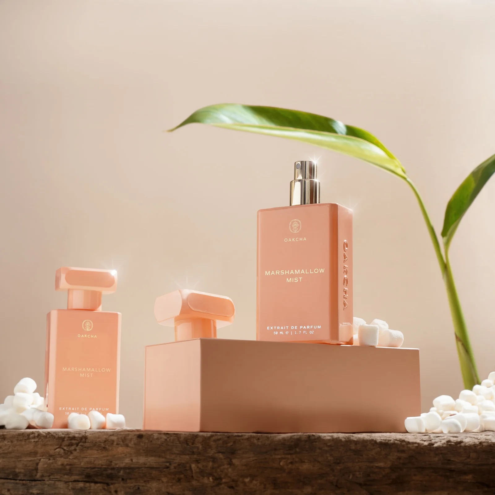 Oakcha Extrait De Parfum 50ml  - Luxury Lifestyle Gifts บทวิจารณ์และราคา